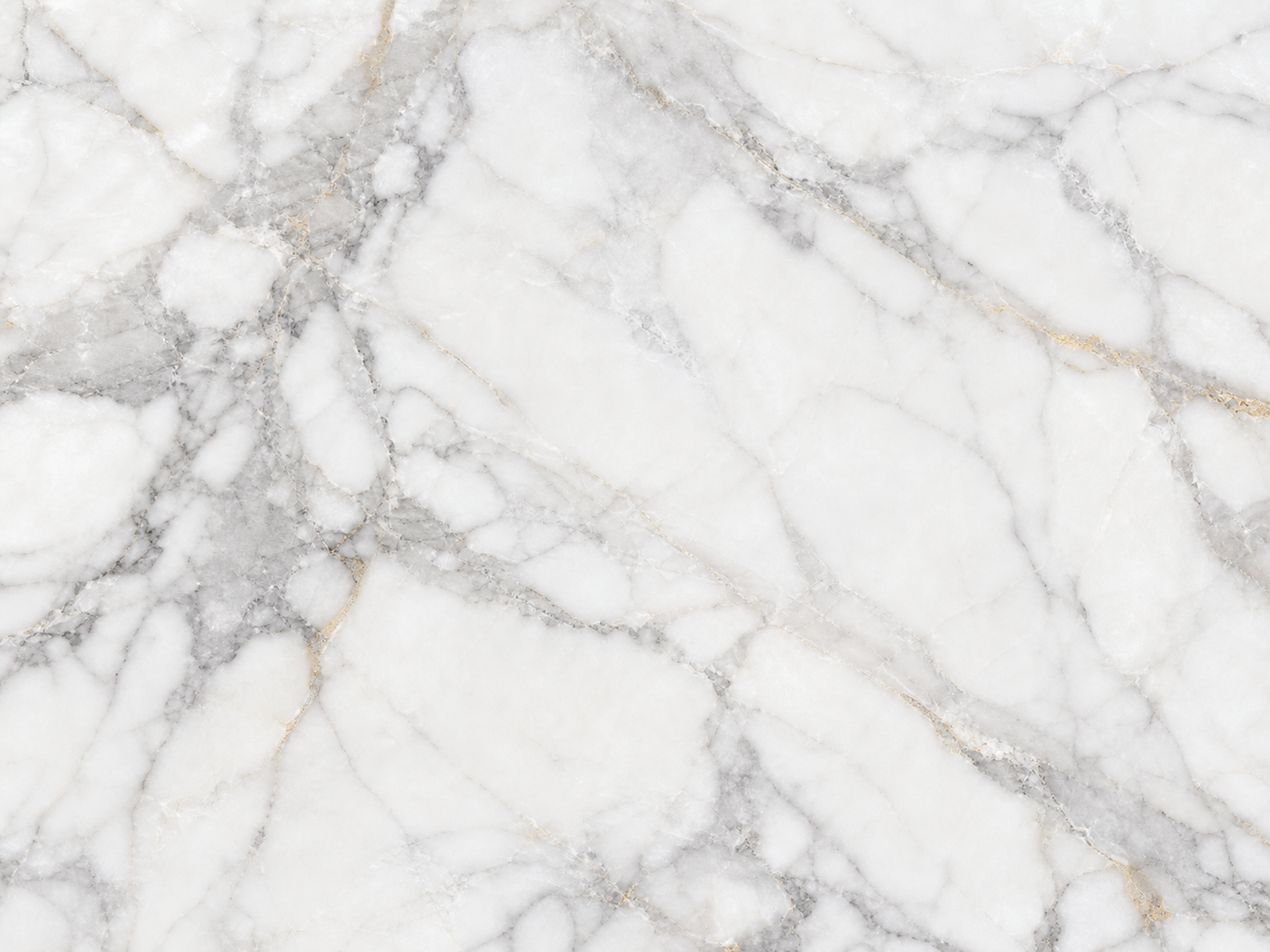 Calacatta Mermer Panel